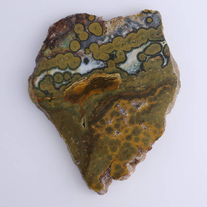 Mi Esperanza Minerals - Wholesale Spiritual Stone/Crystal - Ocean Jasper Slices & Slabs Set of 32