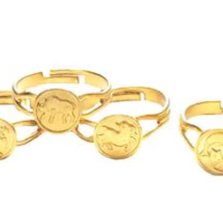TINY ZODIAC RING PROGRAM (KIT OF 12) for wholesale by The Luxe Group