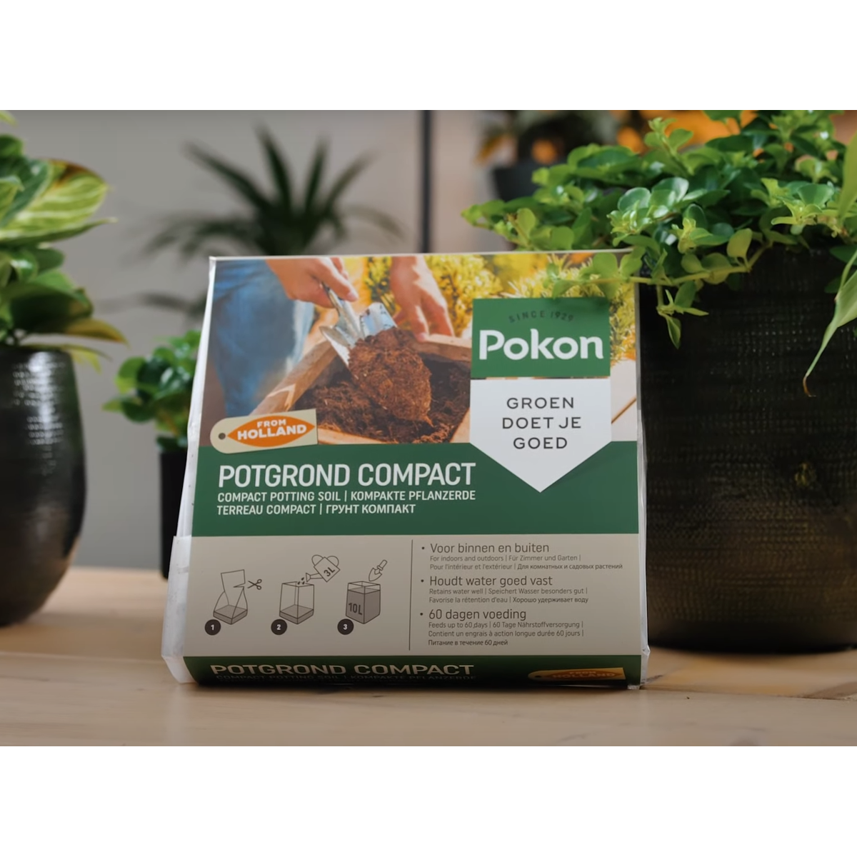 Oasis of Life - Wholesale Planting/Potting Soil - Pokon Flower Soil Compact – Coconut Soil 10 L – Universal Peat-Free Potting Soil for Home & Garden – Lightweight Coconut Fibers with Nutrients for 2 Months – Compressed Soil for Indoor & Outdoor Plants5