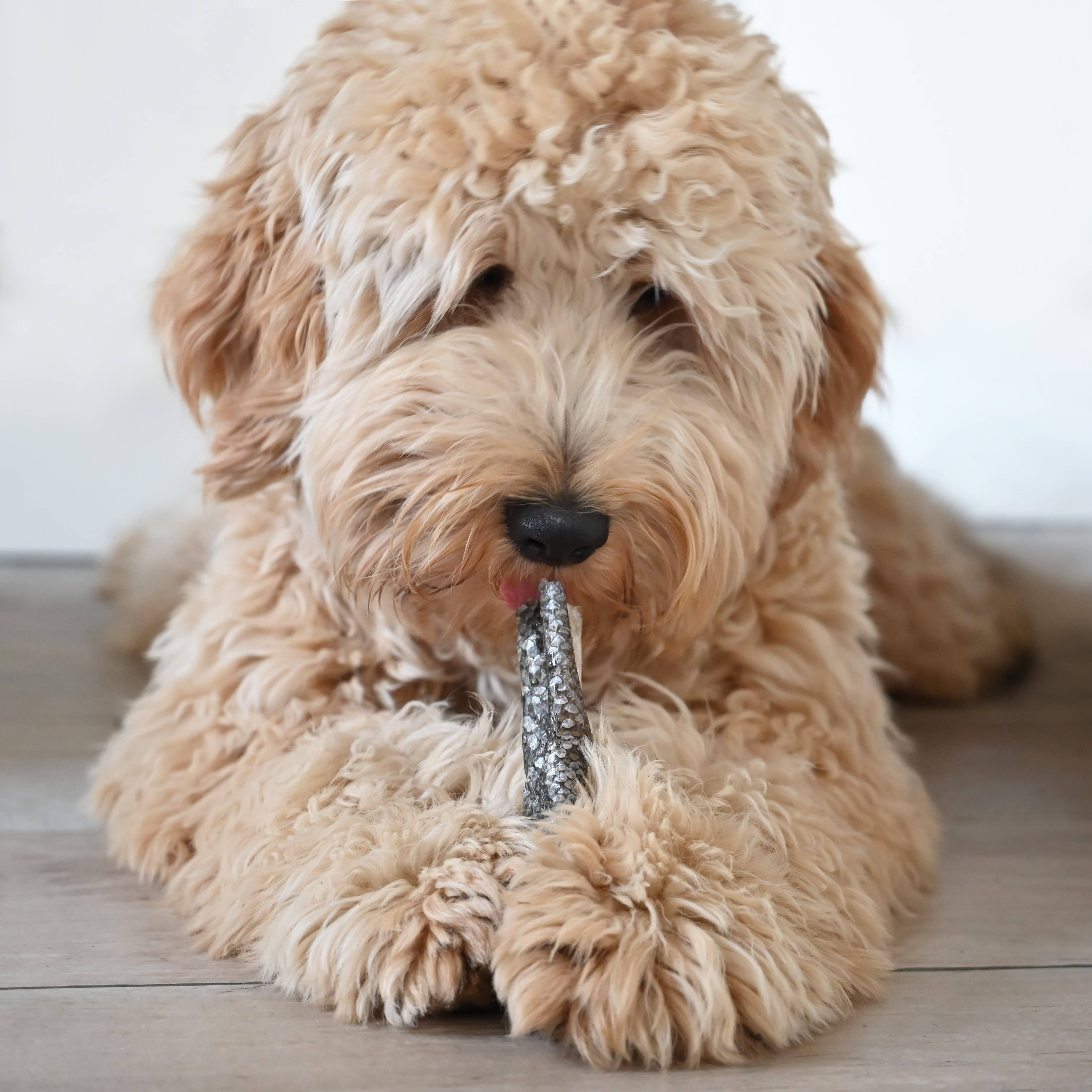 Kivo Petfood – wholesale Pet treats – Dog – Dog Snack - Sawed Cod - 100g2