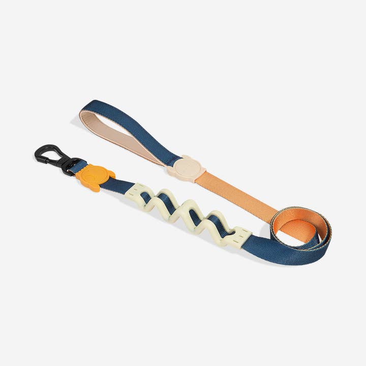 Voyage | Laisse Ruff 2.0 pour la vente par Zee.Dog