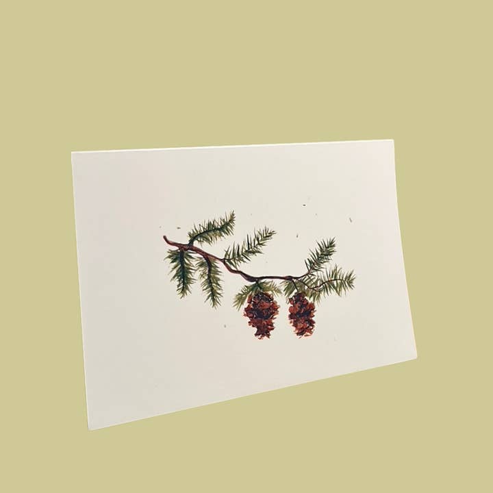 Pinecones for wholesale by BridgetBakerDesign