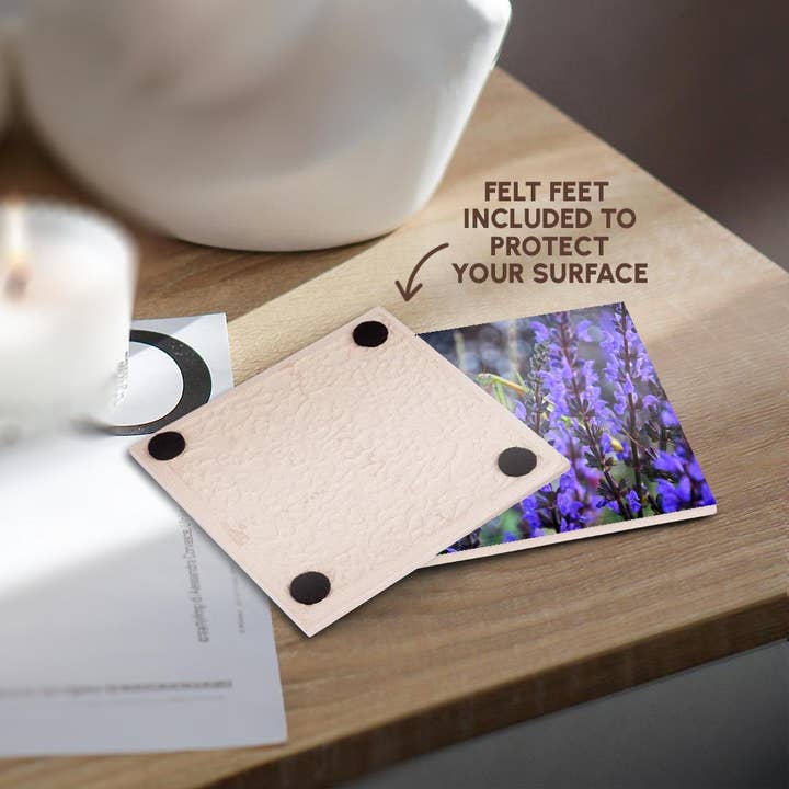 3dRose - Wholesale Coasters - 3dRose, Praying Mantis sitting in blue flowers , Coaster3