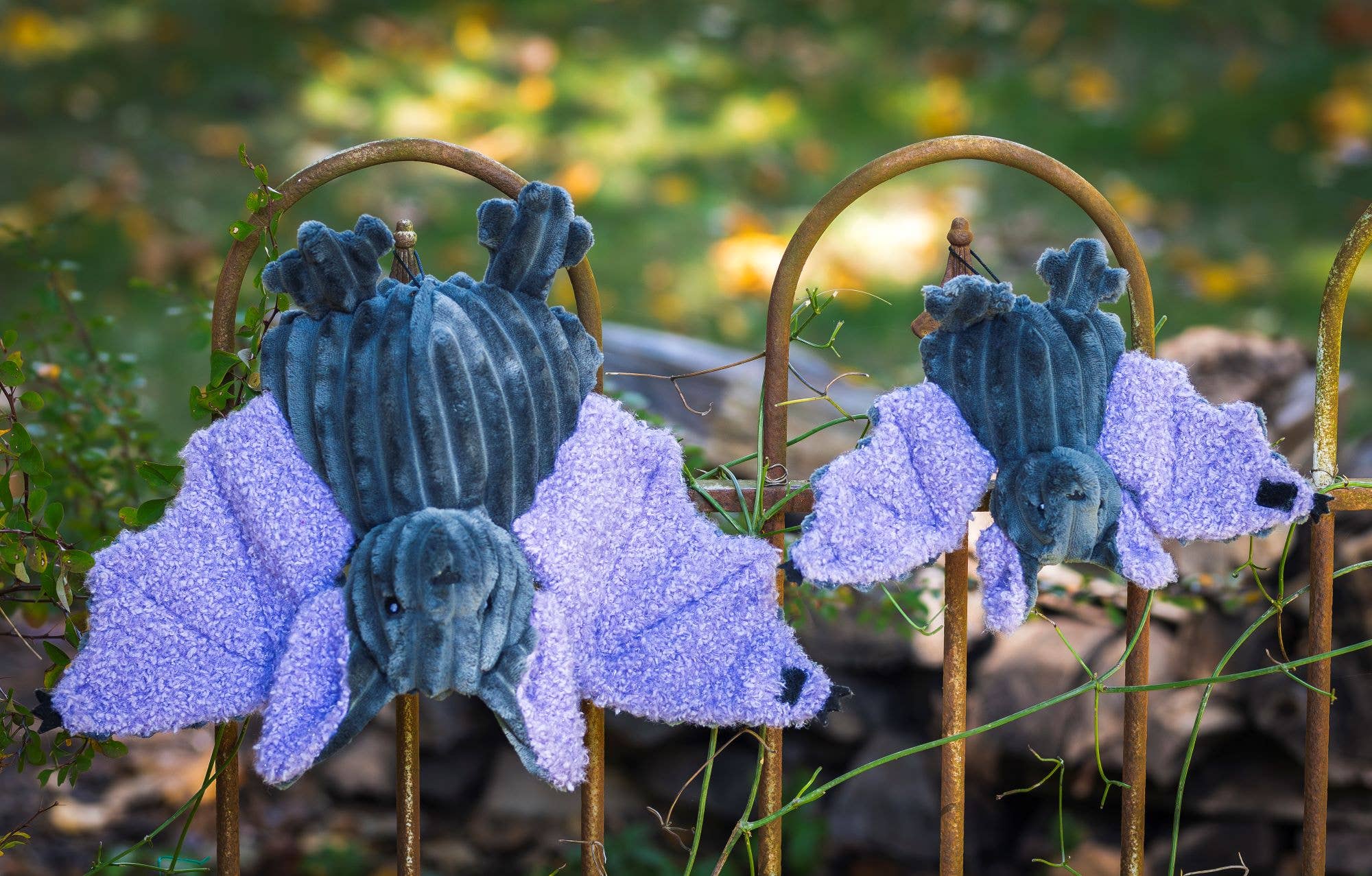 HuggleGroup - Wholesale Pet Plush Toy - Dog - Baxter Bat Plush Dog Toy8