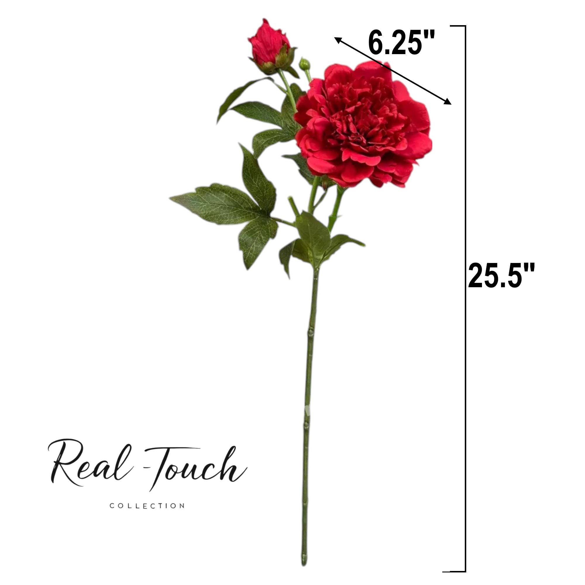 Angel Isabella - Vendita all'ingrosso Fiori finti - Stelo di Peonia Real Touch da 65 cm con 2 Boccioli5