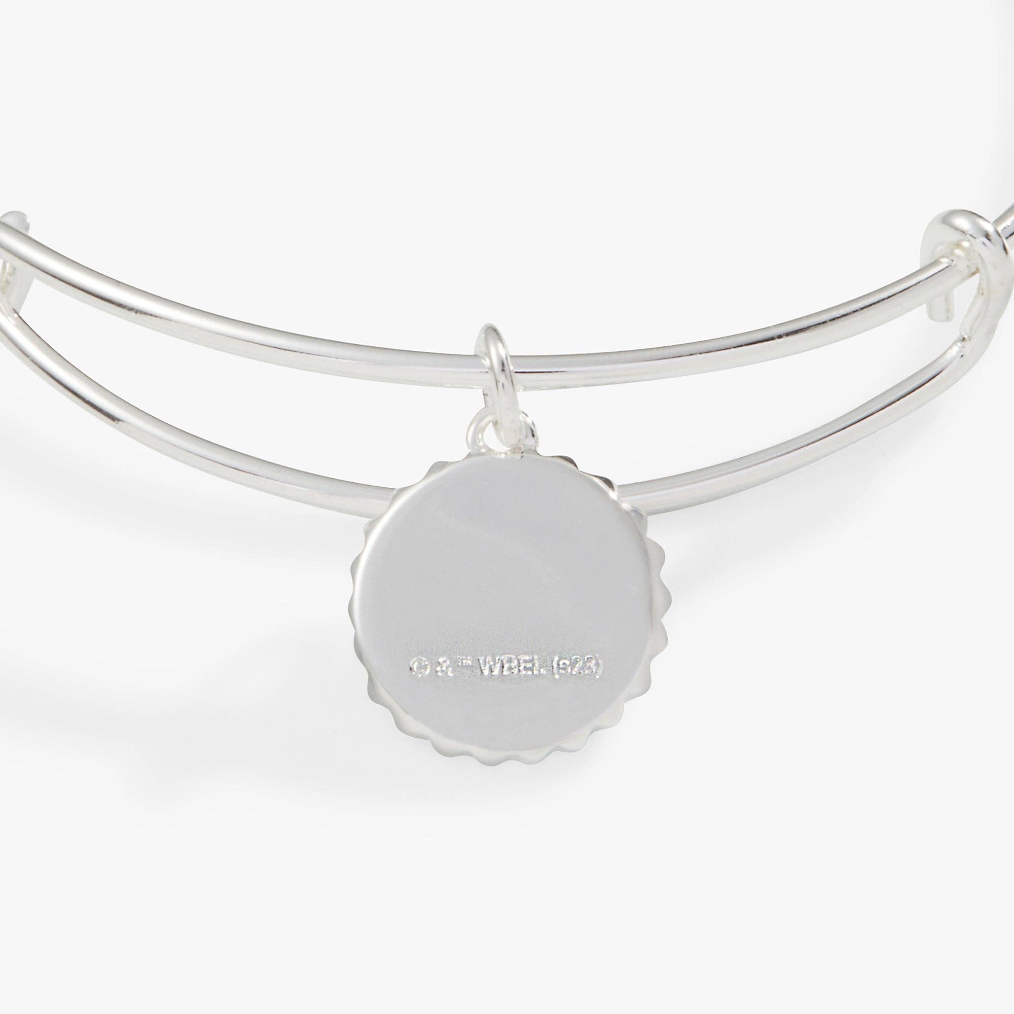 Alex and Ani - Vente Bracelets à breloques/pendentifs - Bracelet Charme Maison Serpentard™ Harry Potter1