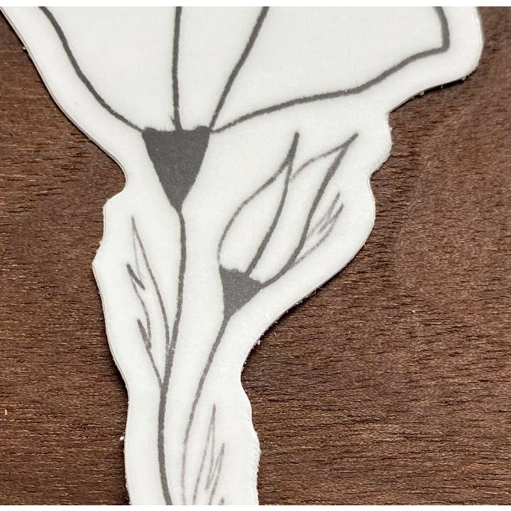 Beth Ann Erickson Designs - Wholesale Sticker - California Poppy Sticker, Flower Stickers for Water Bottle9