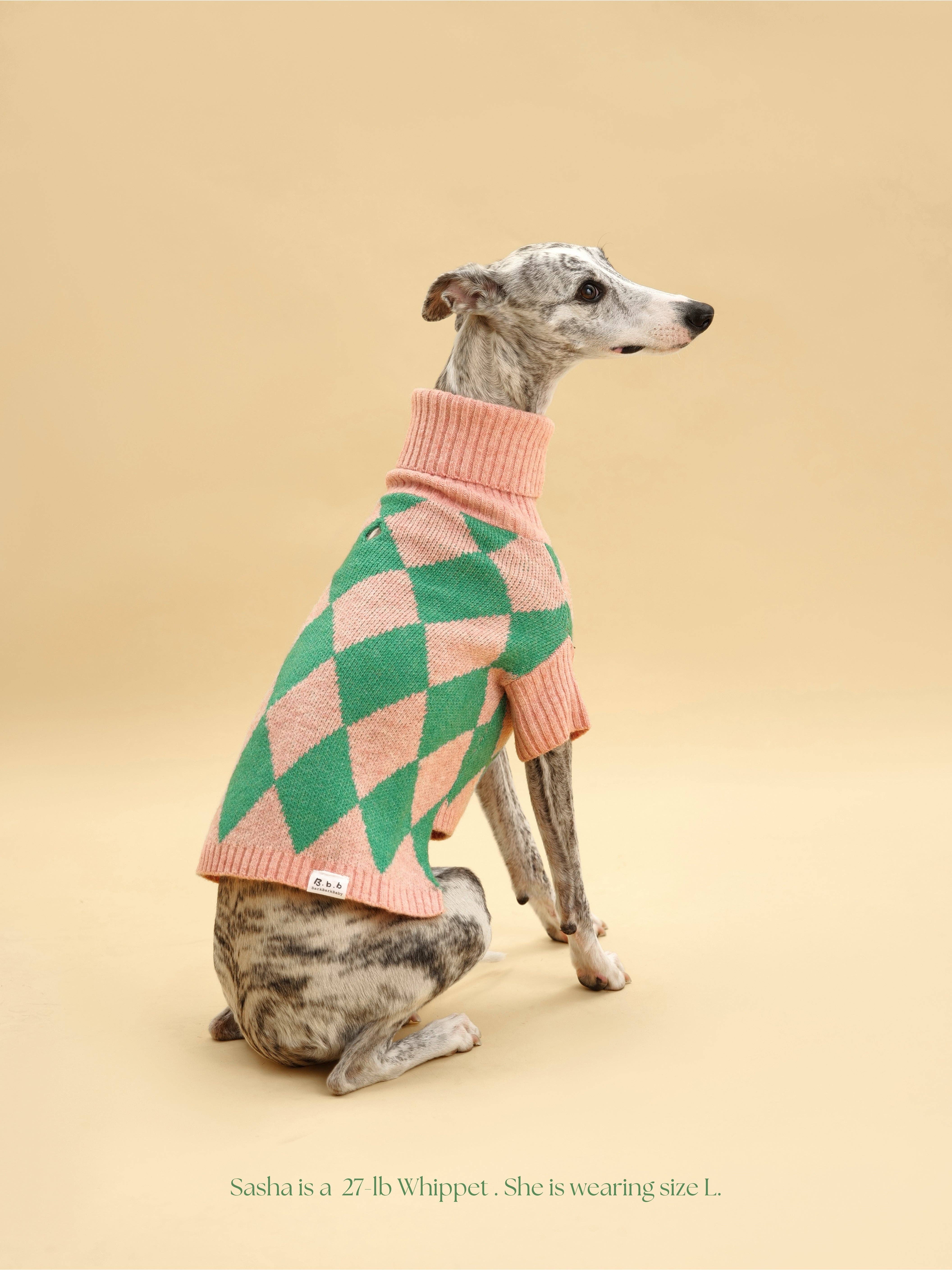 BarkBarkBaby - Wholesale Pet Sweater - Dog - Sunday Brunch in Brooklyn Sweater5
