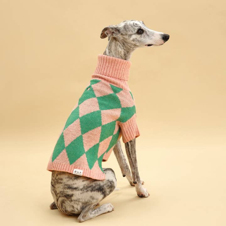 BarkBarkBaby - Vendita all'ingrosso Maglione - Cani - Maglione Sunday Brunch in Brooklyn5