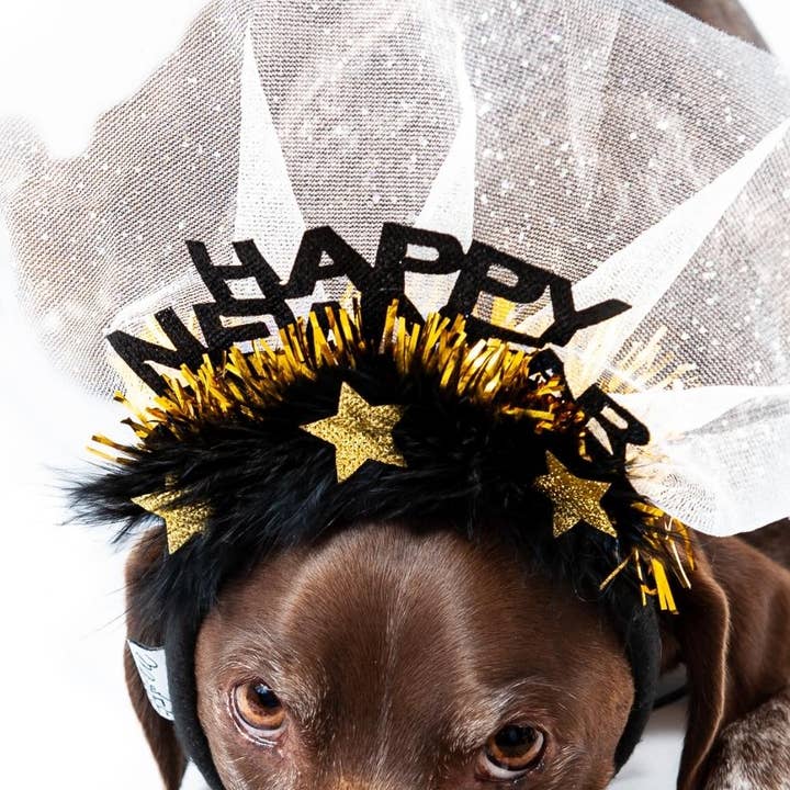 Midlee Happy New Year Dog Headband for wholesale by Midlee Designs