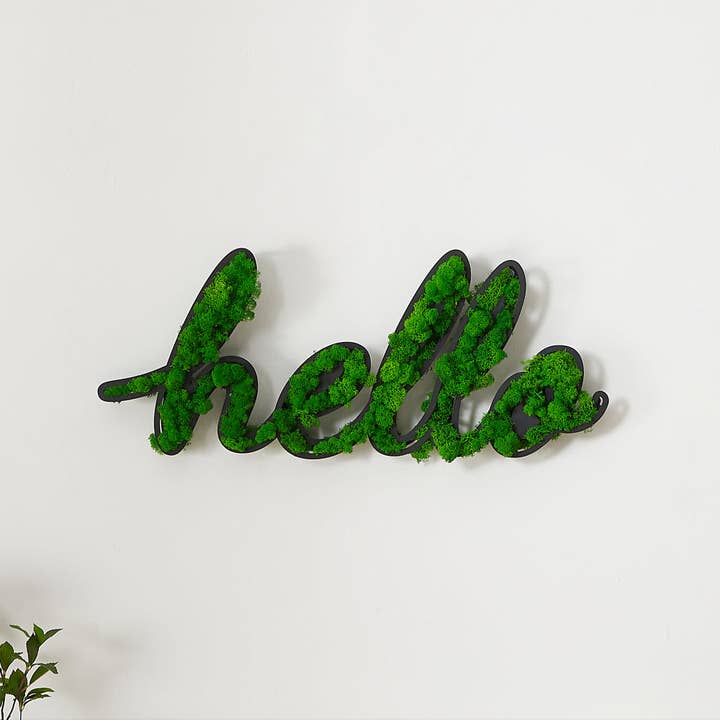 Orange County Decor - Wholesale Wall Accent - Hello Letter Art Moss Wall Decor Green Iron