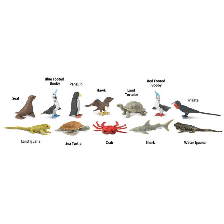 Safari Ltd. - Wholesale Figurine Toy - Kids - Galapagos TOOB® - 681704