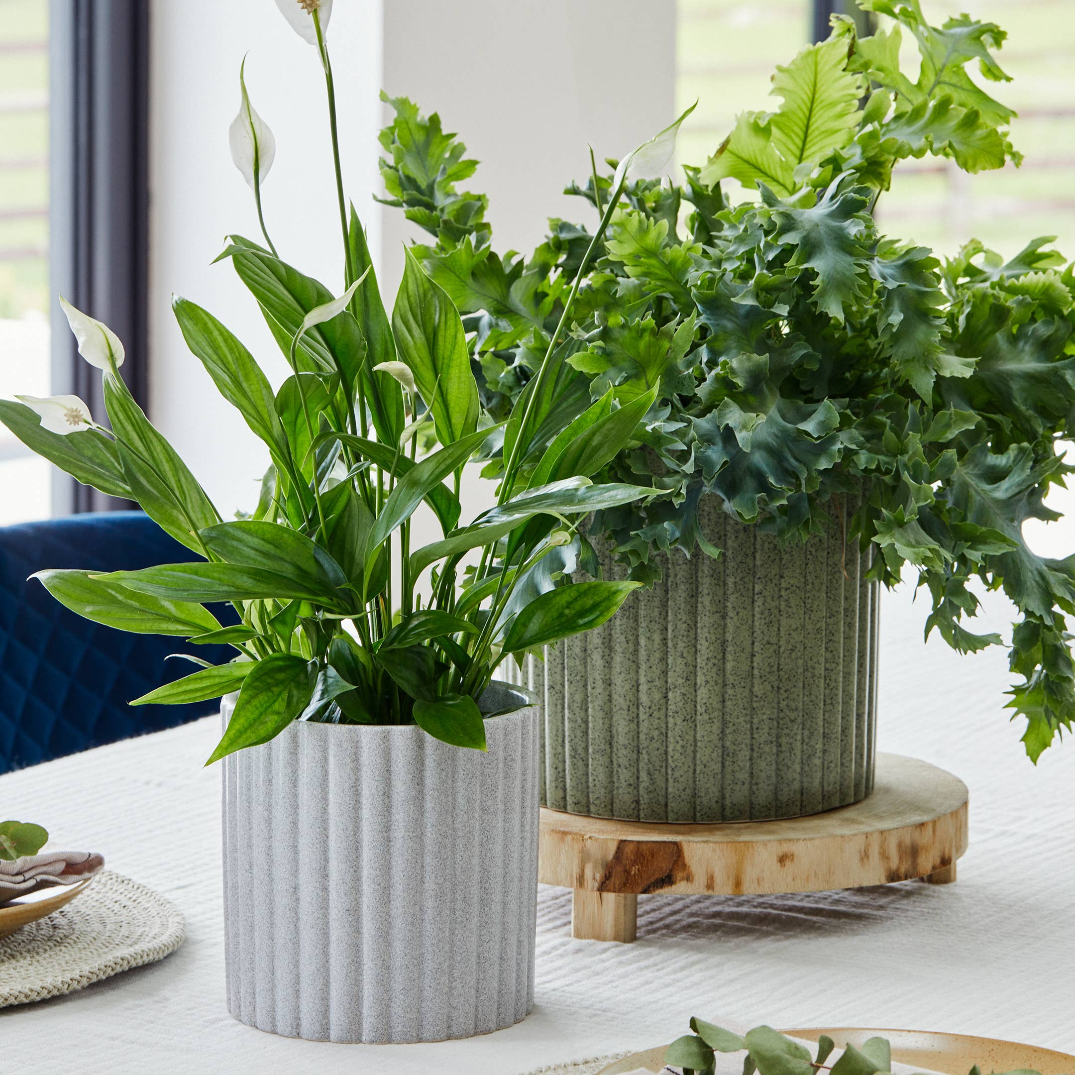 Ivyline – wholesale Indoor pot – Azalea Stone Ribbed Speckle Earthenware Indoor Planter6