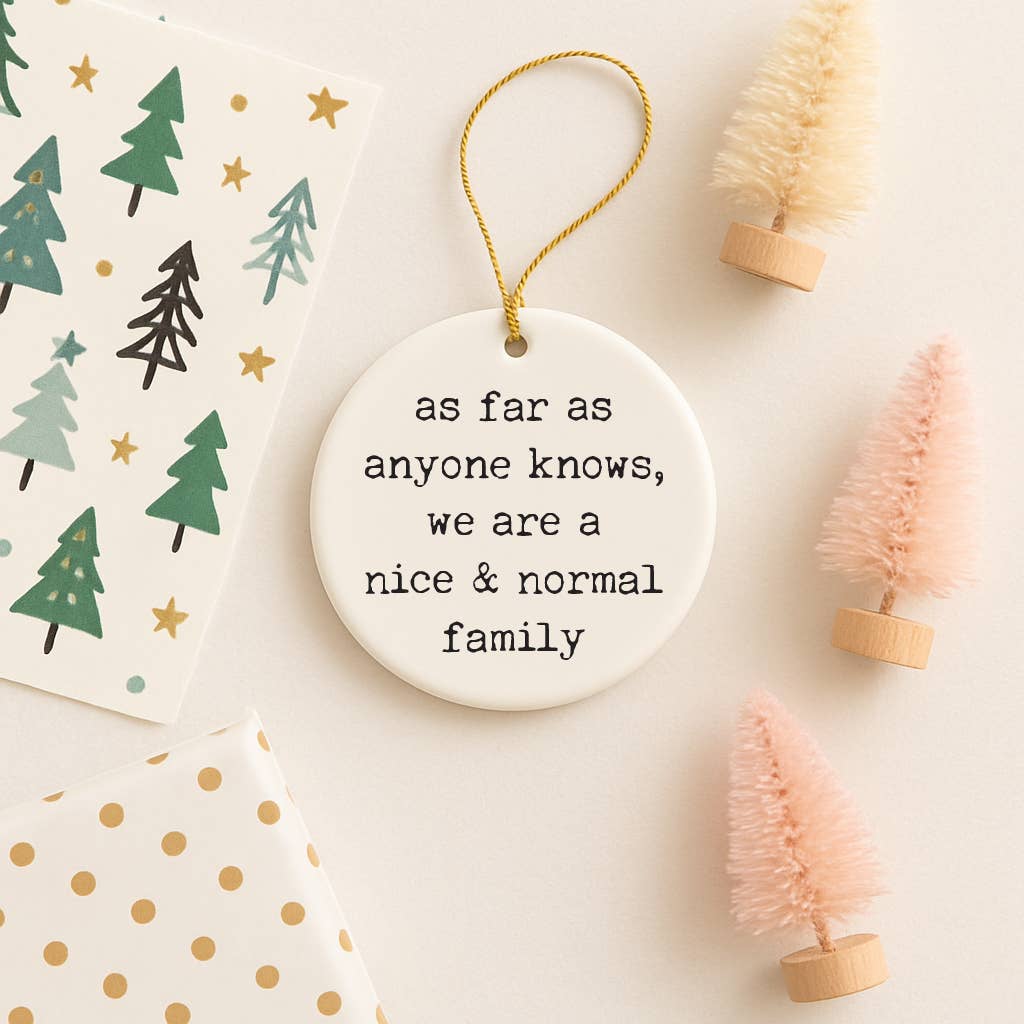 521handmade - Wholesale Ornament - Funny "Nice Normal Family" Christmas Ornament1