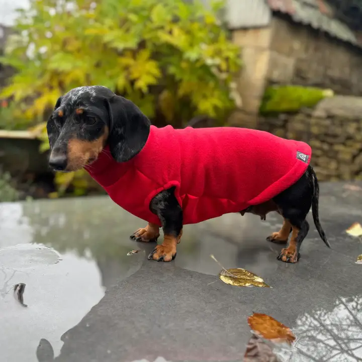 Doghouse – Engroshandel Sweater - Hund – Dachshund fleecetrøje med vandtæt mavepanel12