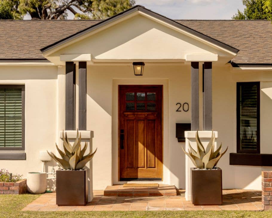 Desert Steel - Vente Plantes artificielles - Agave à peau de requin3