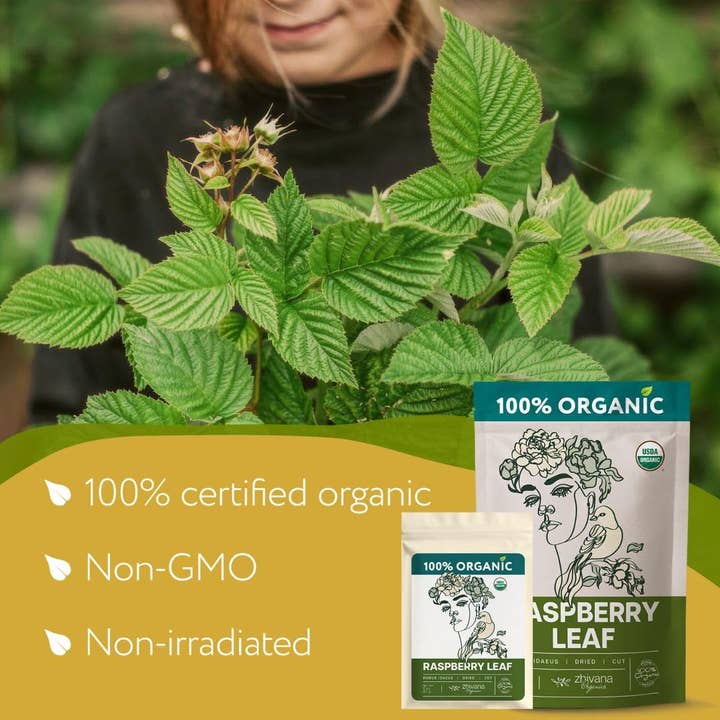 Zhivana Organics - Wholesale Health/Detox Tea - Organic Raspberry Leaf Tea Dried Cut & Sifted (PACK of 3) - 18 oz1