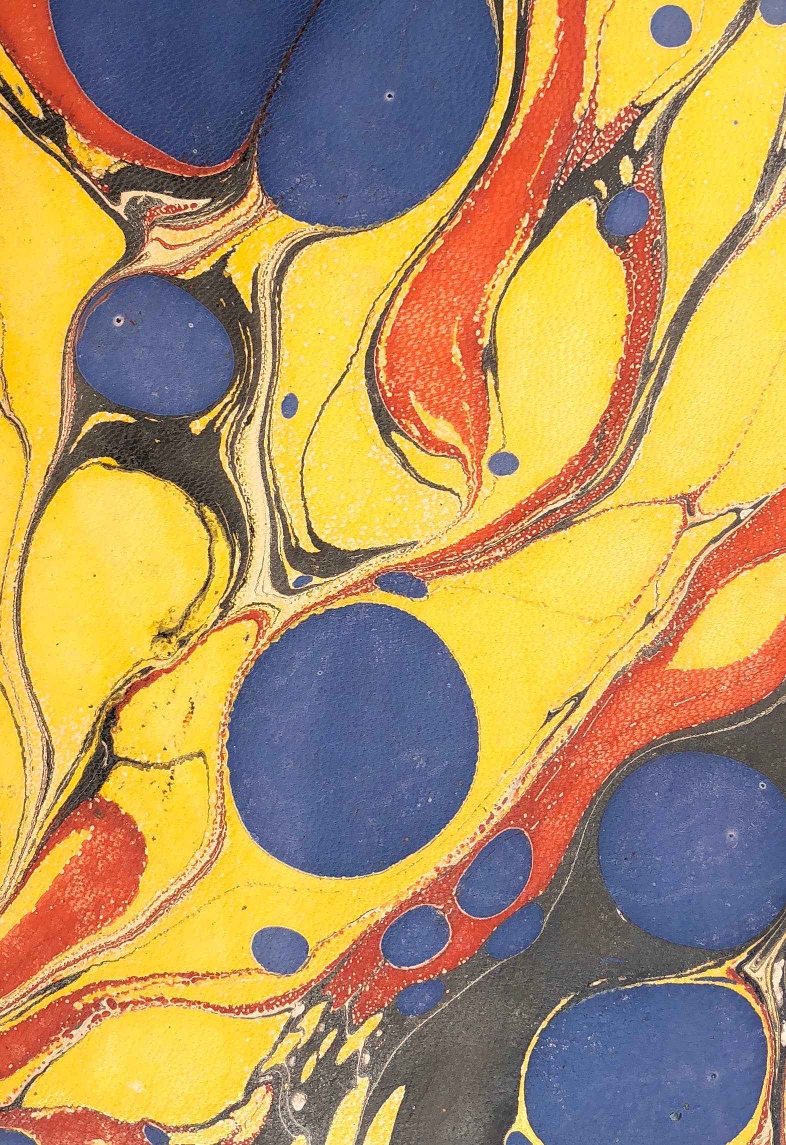 STUDIO CALEIDOSCOPE - Wholesale Portemonnee - Dames - Daisy Purse - gemarmerd leer1