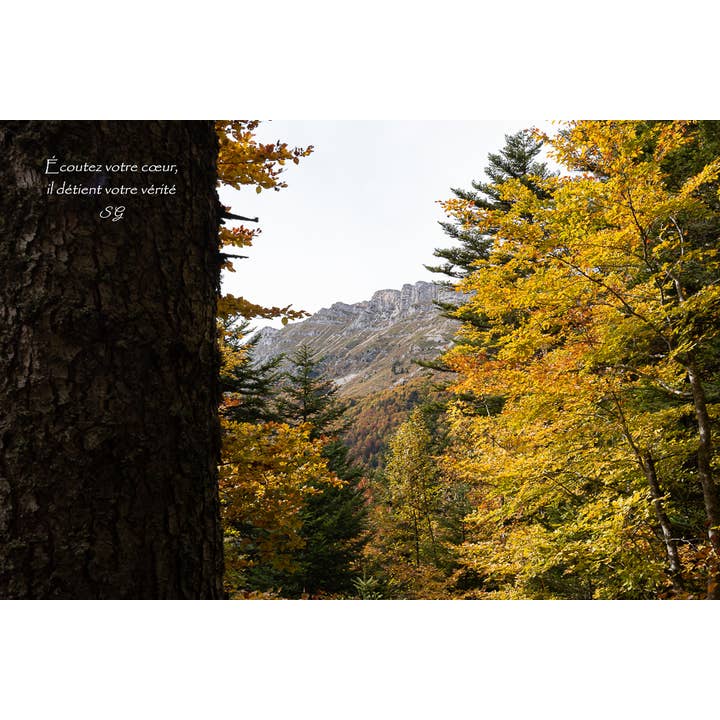 Montagne d'Or pour la vente par L'Ecriture D'Un Regard