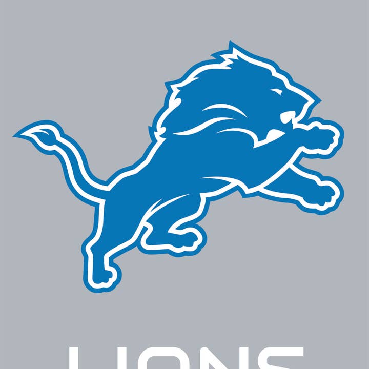 Detroit Lions NFL House Flag for wholesale by Briarwood Lane