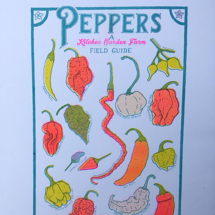 Impression d'art Risograph Poivre pour la vente par Kitchen Garden Farm