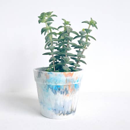 Cachepot in plastica riciclata | Alstroemeria per la vendita all'ingrosso da parte di hello waste