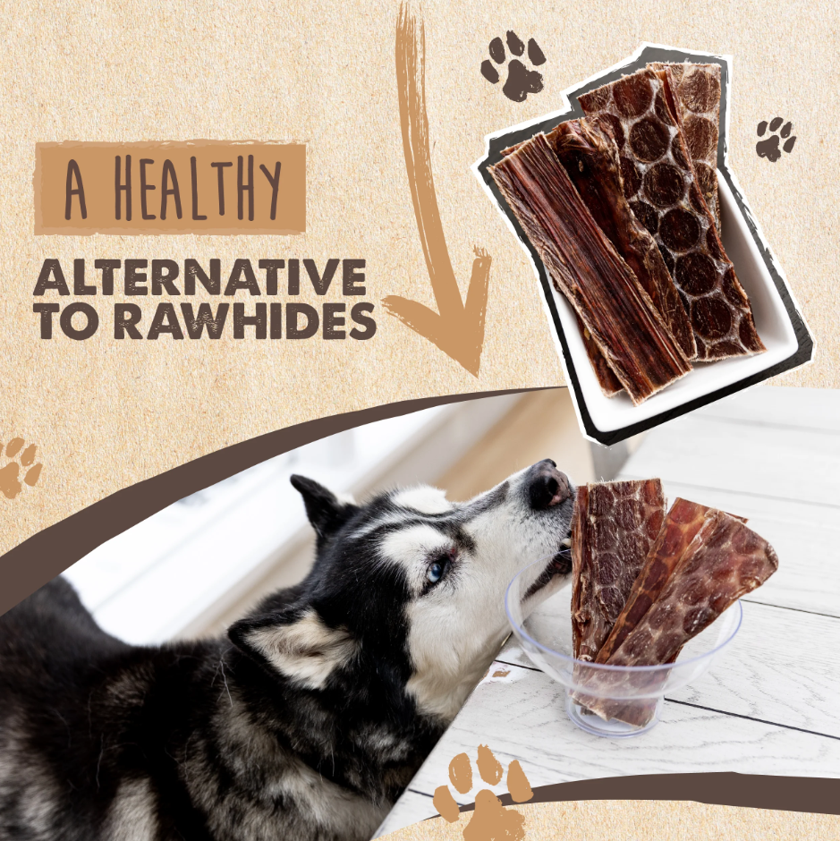 Mighty Paw - Wholesale Pet Treats - Dog - All-Natural Beef Gullet Jerky5