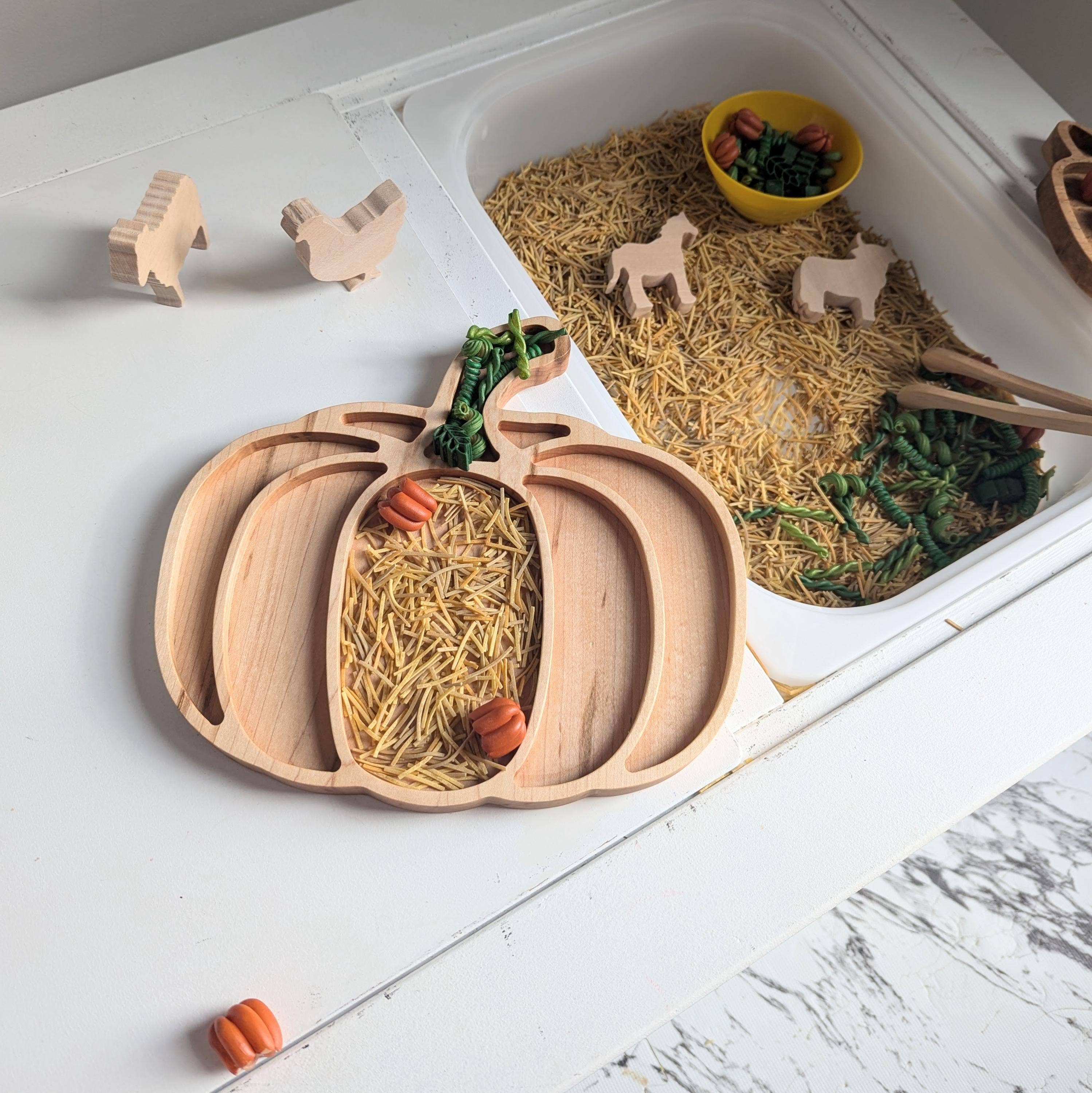 Carved Together Co - Wholesale Wood Toy - Kids - Pumpkin Sensory Play Tray - Large3