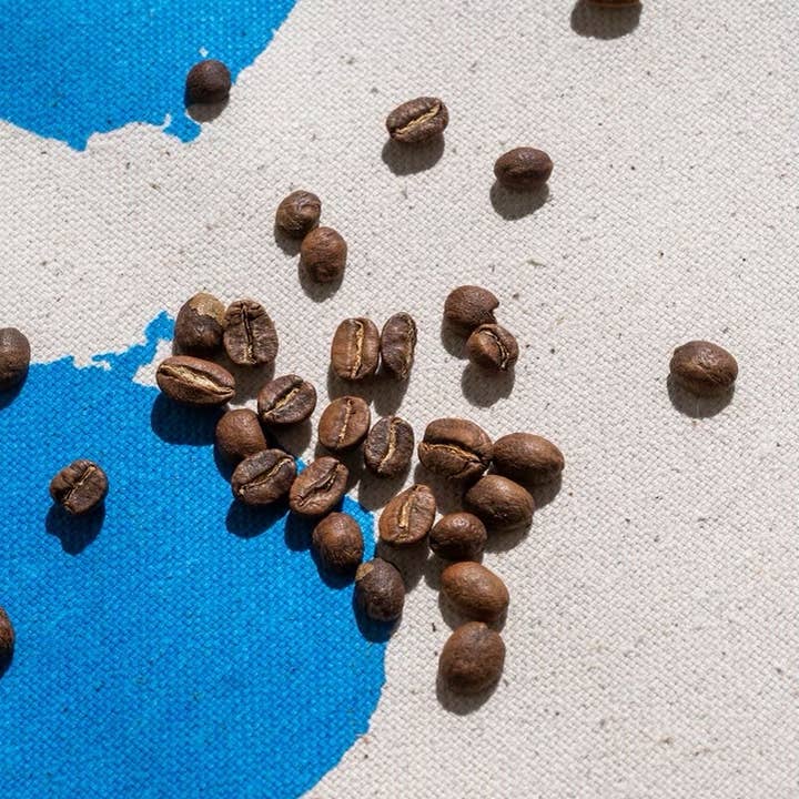 Rise With Apollo - Wholesale Koffiebonen - ORESTHEUS - Guatemalteekse koffie met volle bonen van één oorsprong1