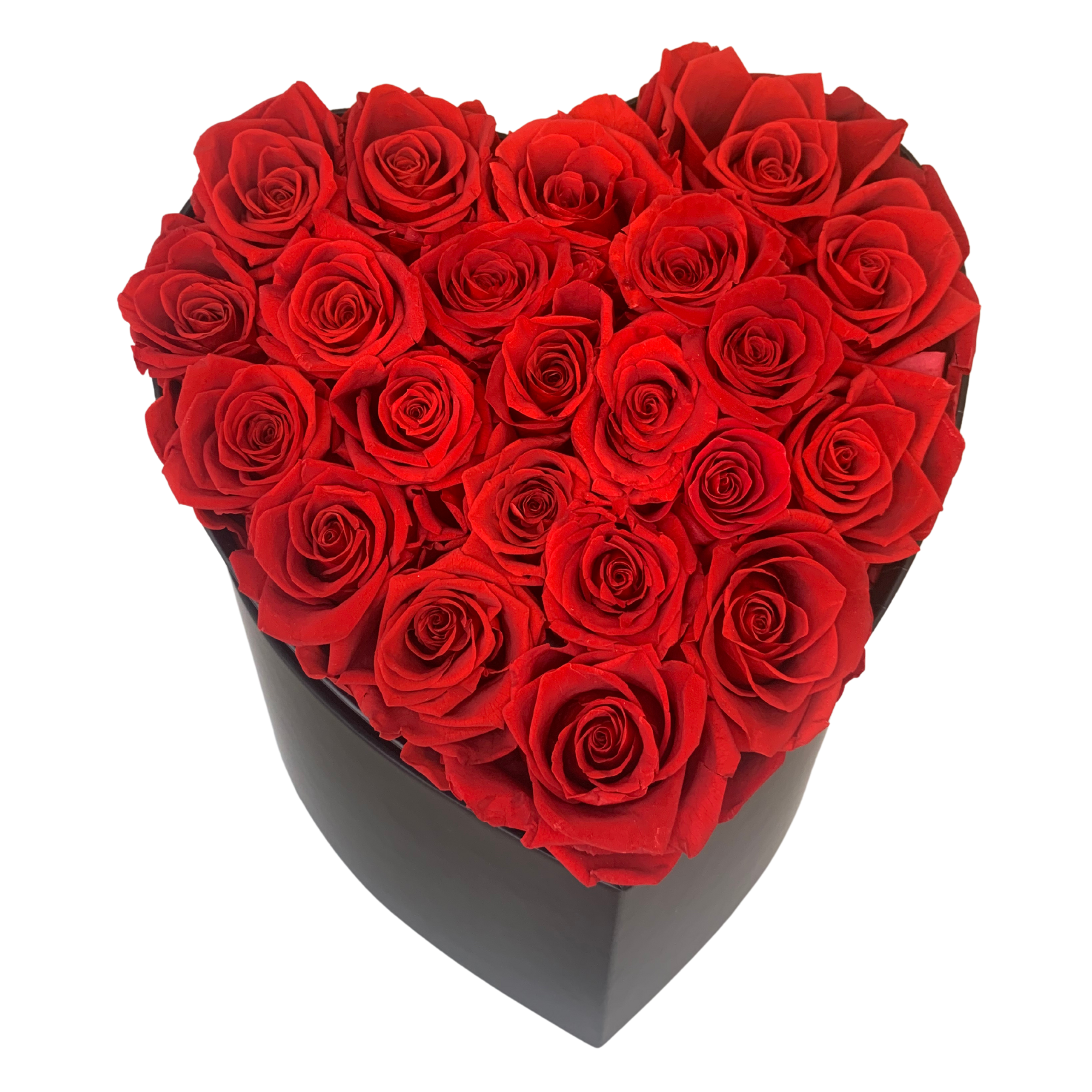verona home and gift - Wholesale Dried/Pressed Flowers - Real Preserved Roses that Last Forever 35