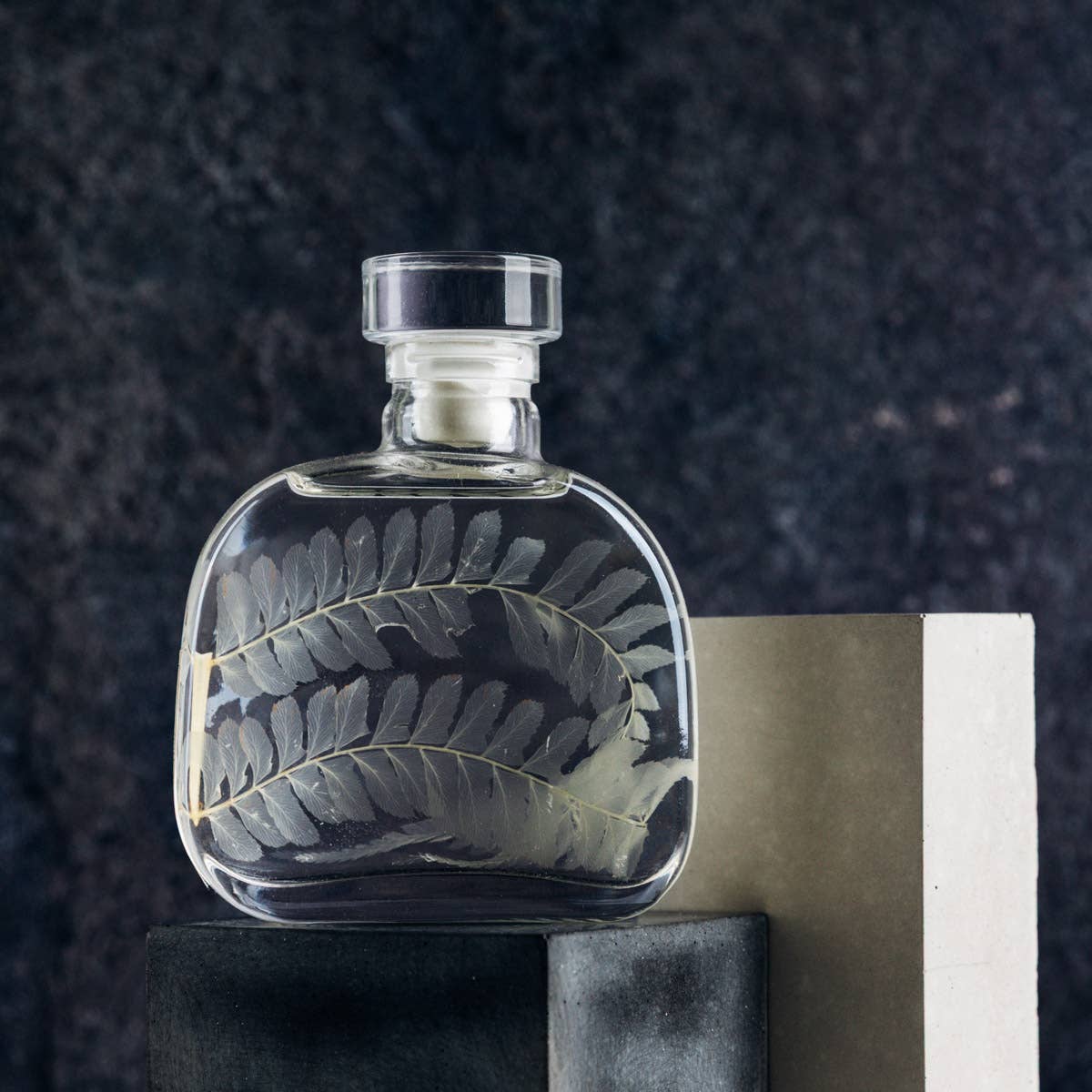 Theophile Berthon - Wholesale Live Plant - The Herbarium Capsule - White Leather Fern - Submerged Plant12