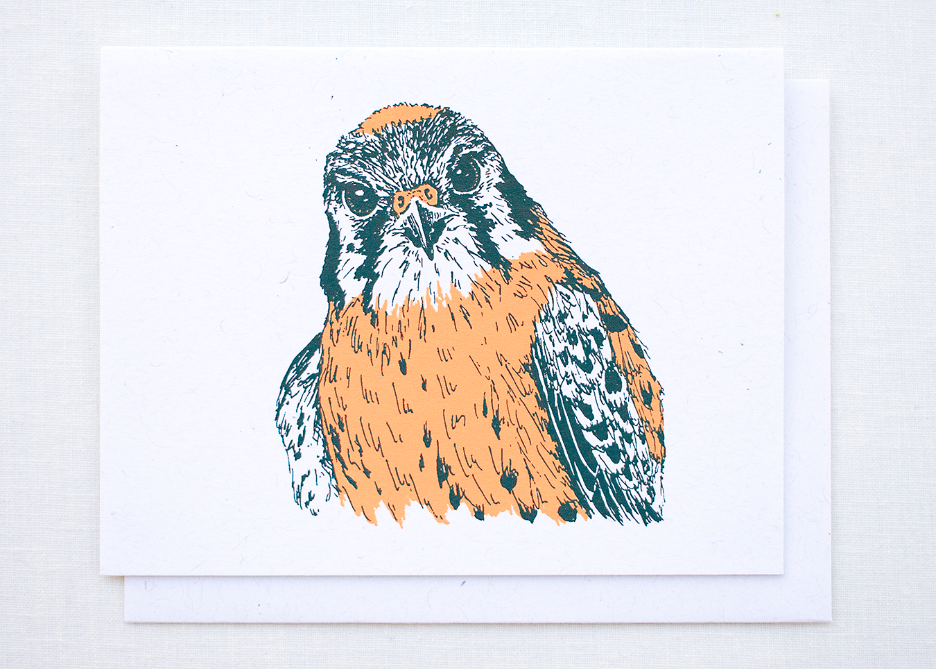 Farm and Finch Creative - Wholesale Everyday Greeting Card - American Kestrel Card0