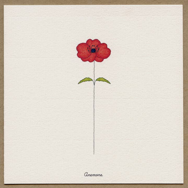 Beth Mueller - Wholesale Everyday Greeting Card - Anemone-Greeting Card.