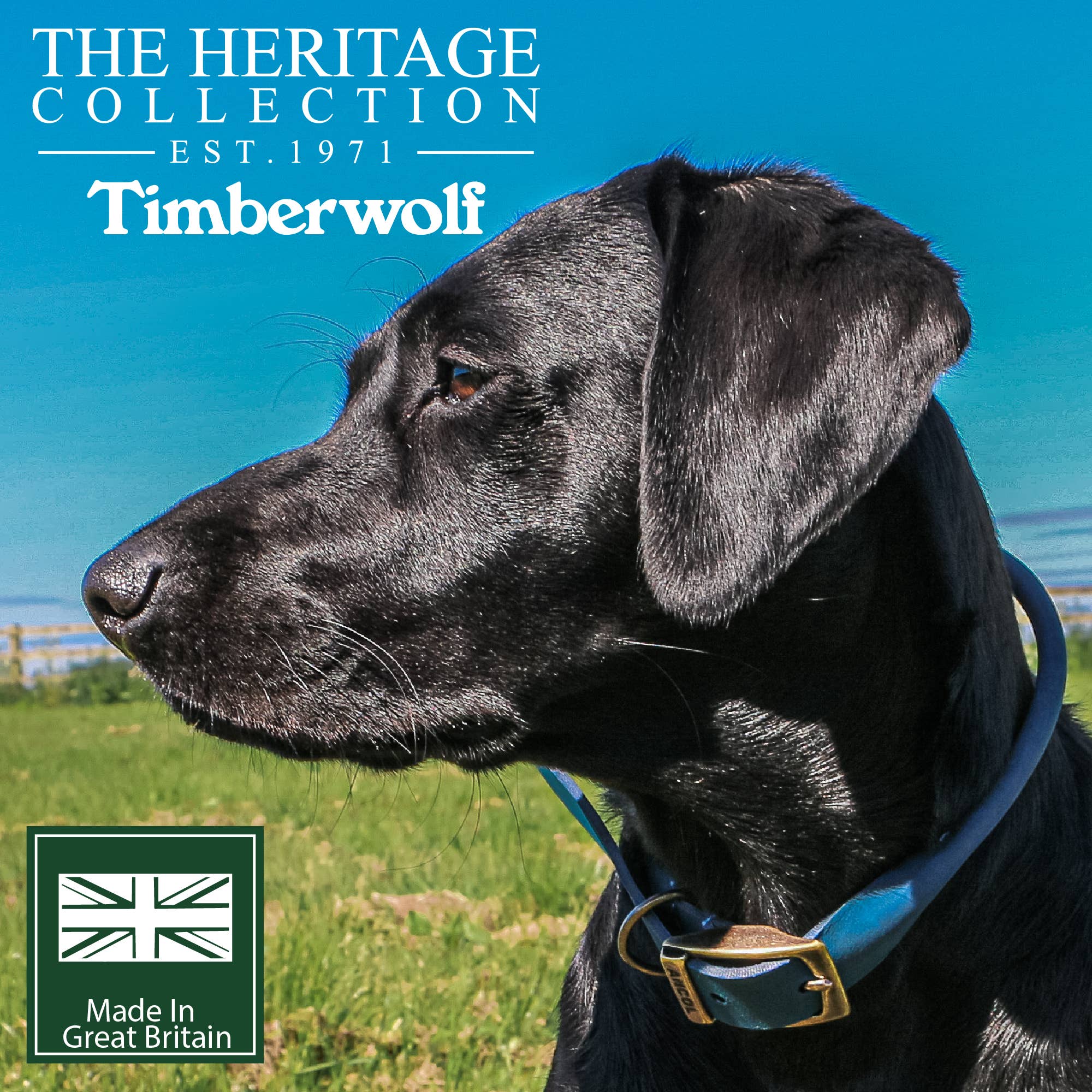 Ancol Pet Products Ltd - Wholesale Pet Collar - Dog - Timberwolf Round Collar8