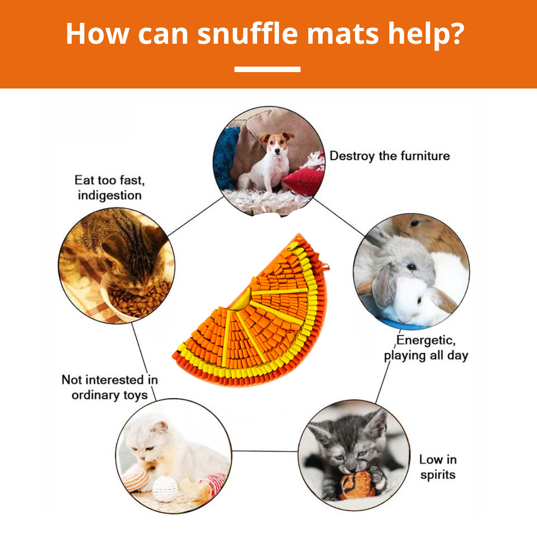 PawzNDogz – wholesale Pet food mat – Dog – Tangy Orange™ Snuffle Mat | Challenge Level 22