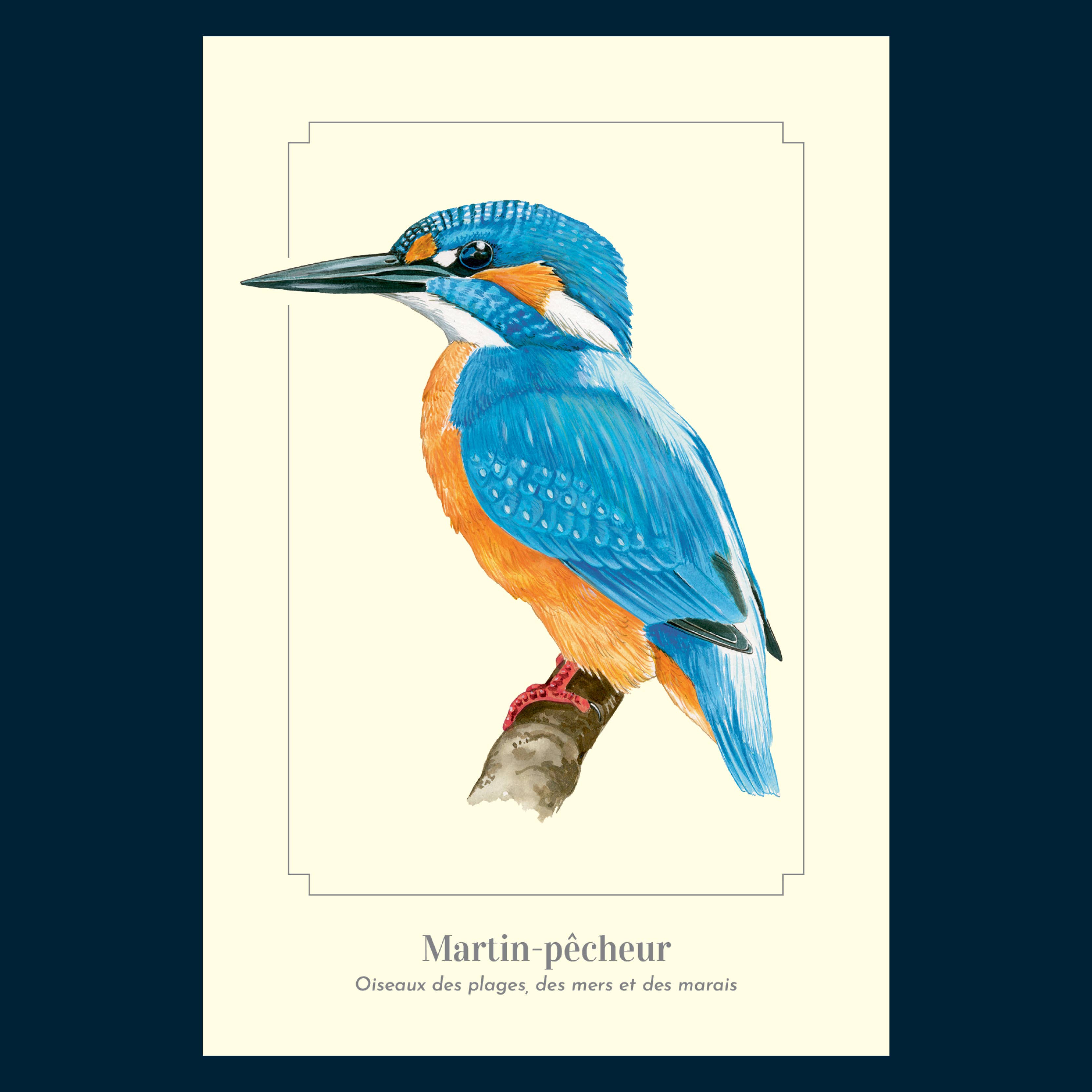 Longue-vue - Wholesale Postcard - Martin fisherman - Postcard2