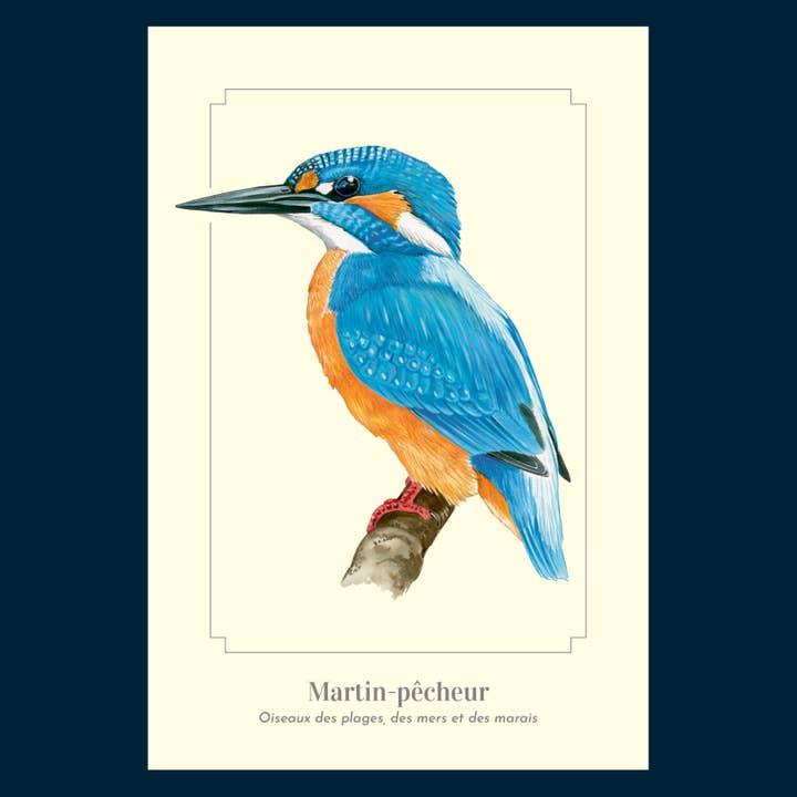 Longue-vue - Wholesale Postcard - Martin fisherman - Postcard2