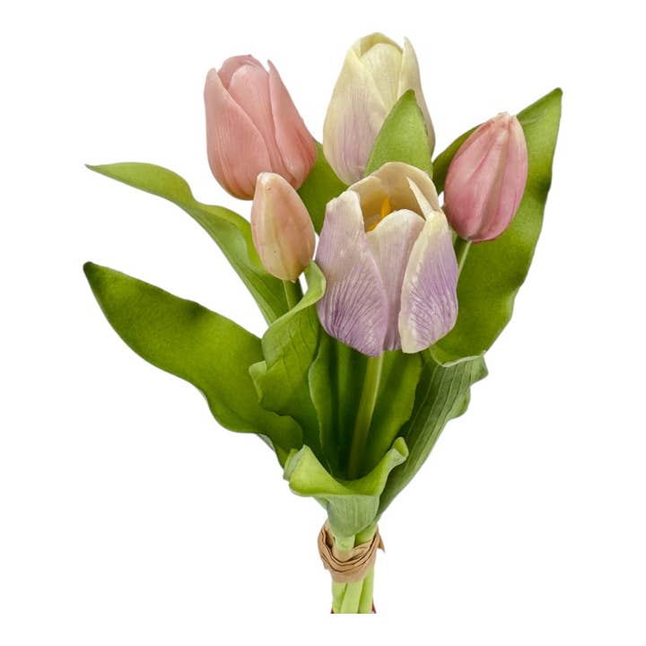 Mazzo di tulipani 'soft touch' x 5 lilla-rosa per la vendita all'ingrosso da parte di Floratexx