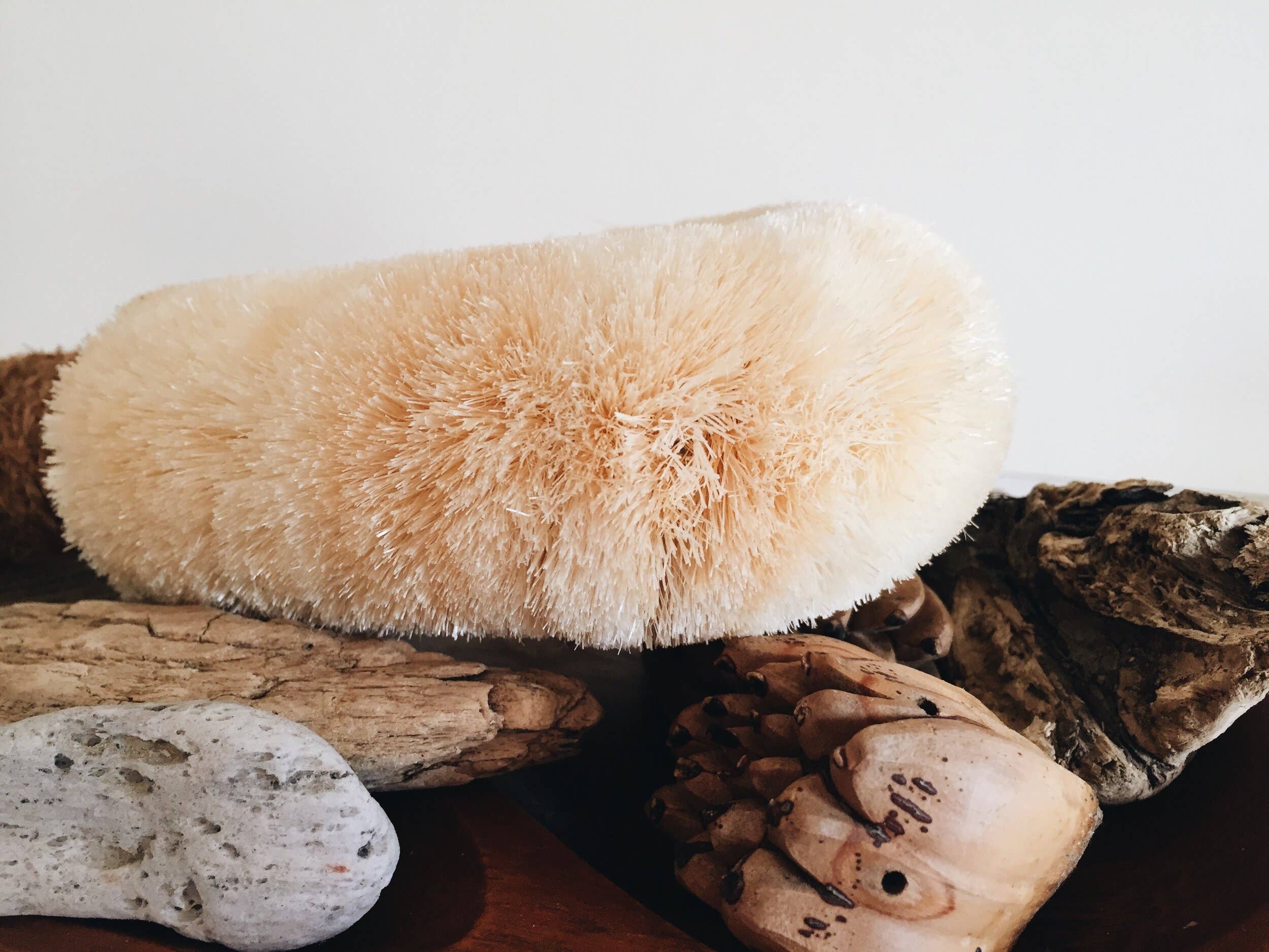 Ethical Global - Vente Brosses pour le corps - Brosse sèche pour le corps de qualité supérieure, entièrement naturelle3