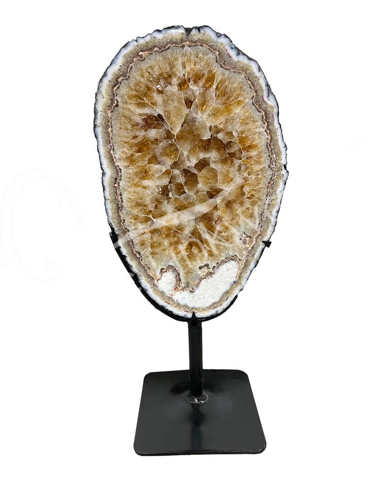 (KG)SPECIMEN - CITRINE EX RING ON METAL STAND 9-15" for wholesale by Oceanic Linkways Inc