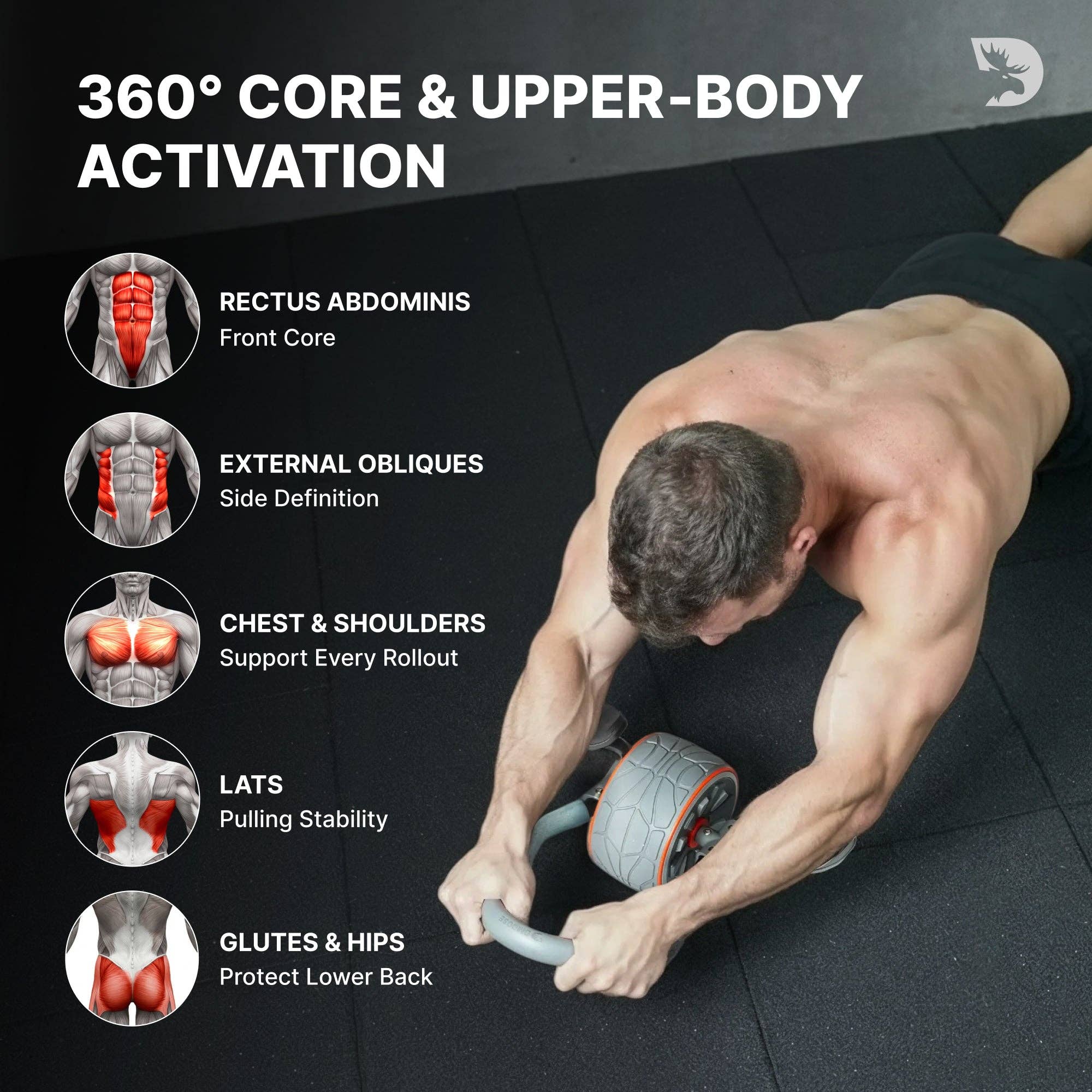 Gray DMoose Ab Roller for wholesale on Faire5