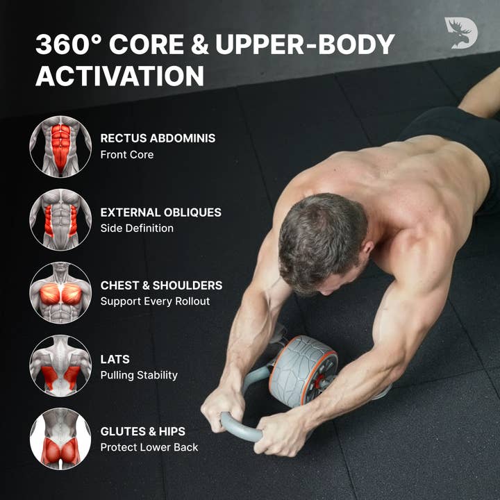 Gray DMoose Ab Roller for wholesale on Faire5