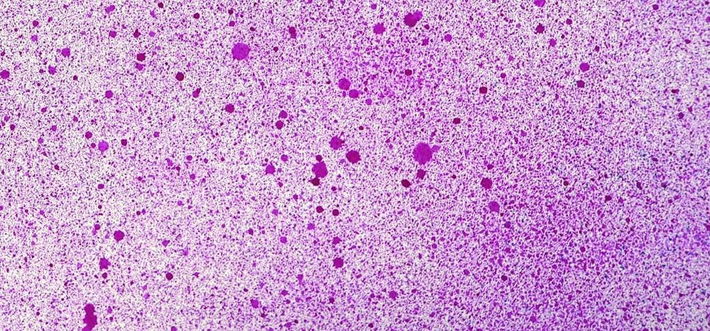 Ecstasy Crafts Distributing - Wholesale Craft Supplies - Cosmic Shimmer Airless Mister29