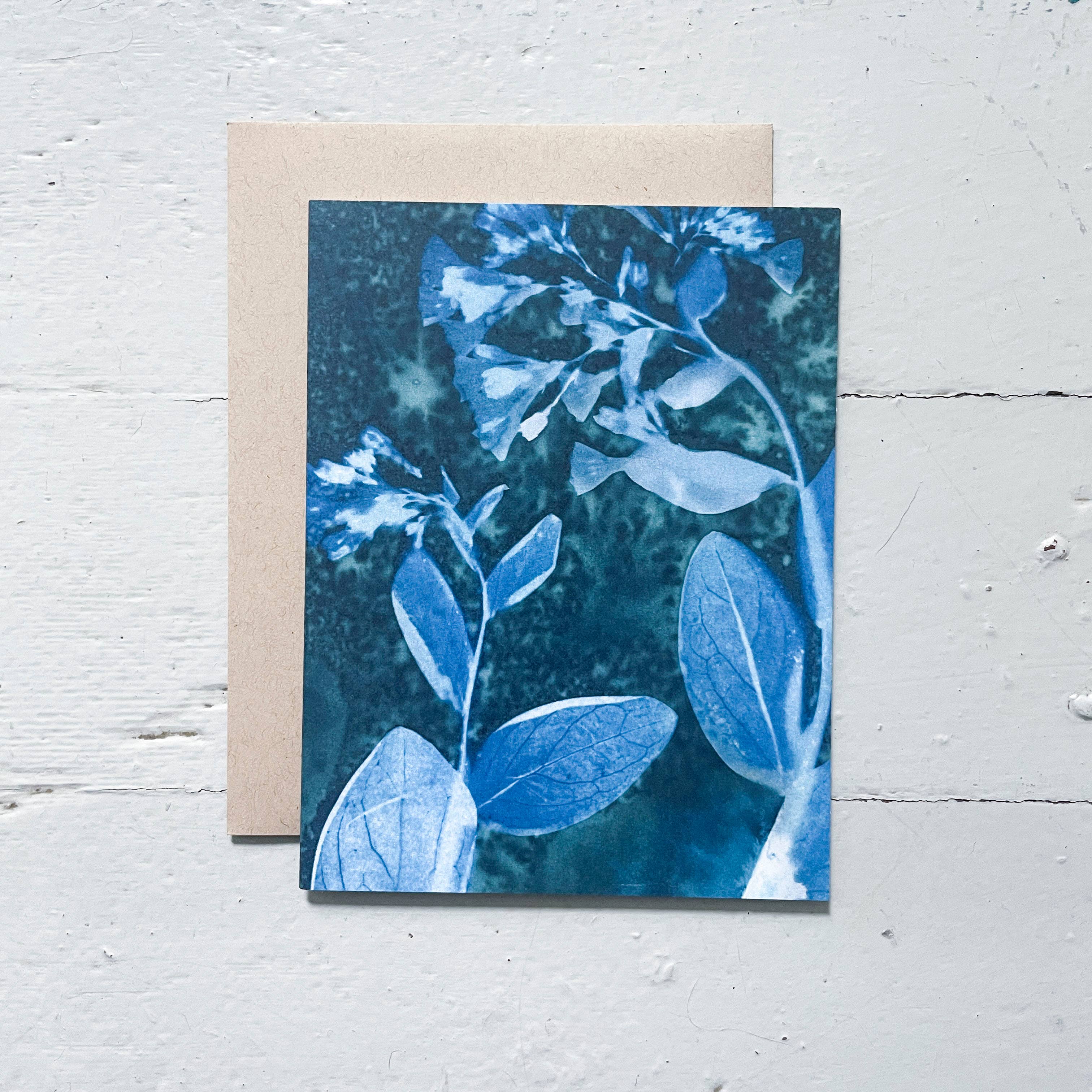 Atwater Designs - Vente Carte de vœux classique - Coffret de cartes de vœux Slow Mornings | Botanical Cyanotype14