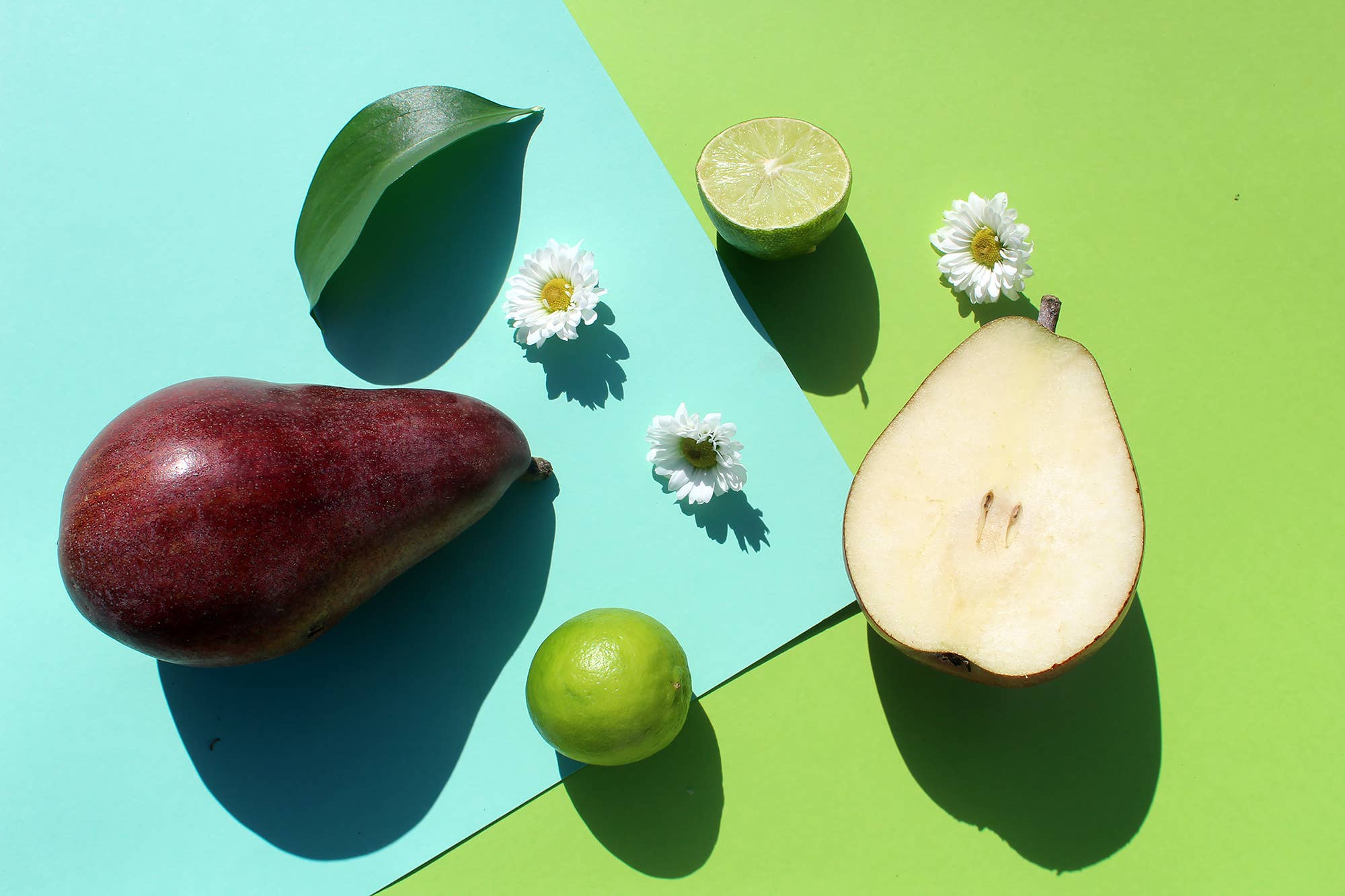 Herb & Root – Fragrância Roll-On por atacado – Óleo Perfumado Beija-flor - Pera e Magnólia2