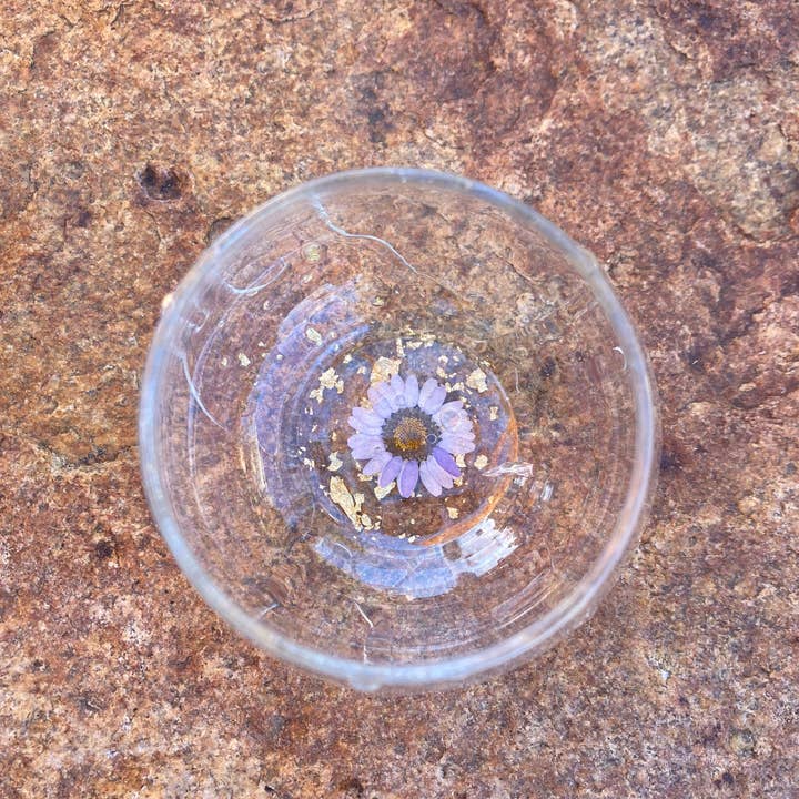 SeaLion Resin – wholesale Vinglas – Daisy Flower Stamless Vinglas ~ Torkade blommor