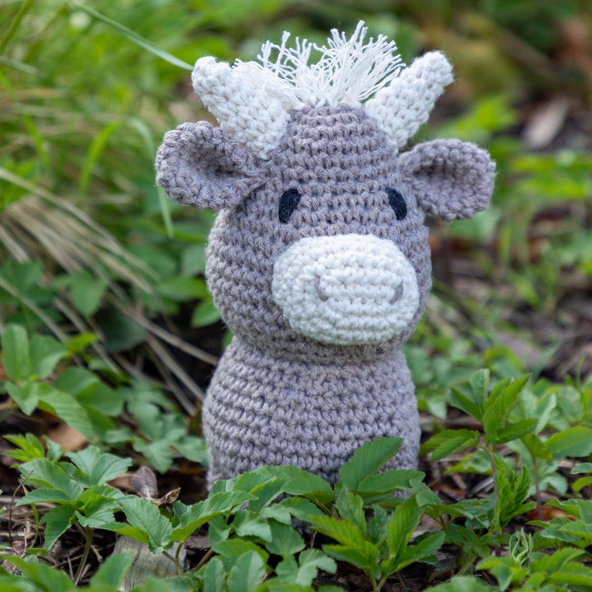 Hoooked ! DIY Crochet Pattern Cuddle Cloth Bear Bo