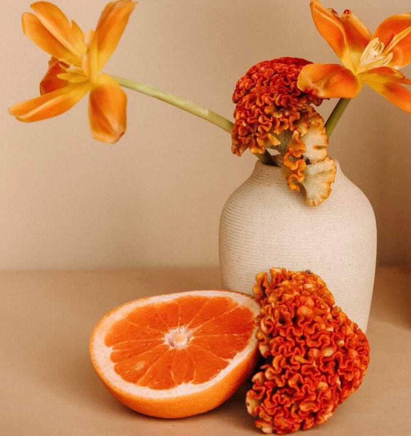 NORTH PALM – wholesale Vase – Petite Arrangement Vase4