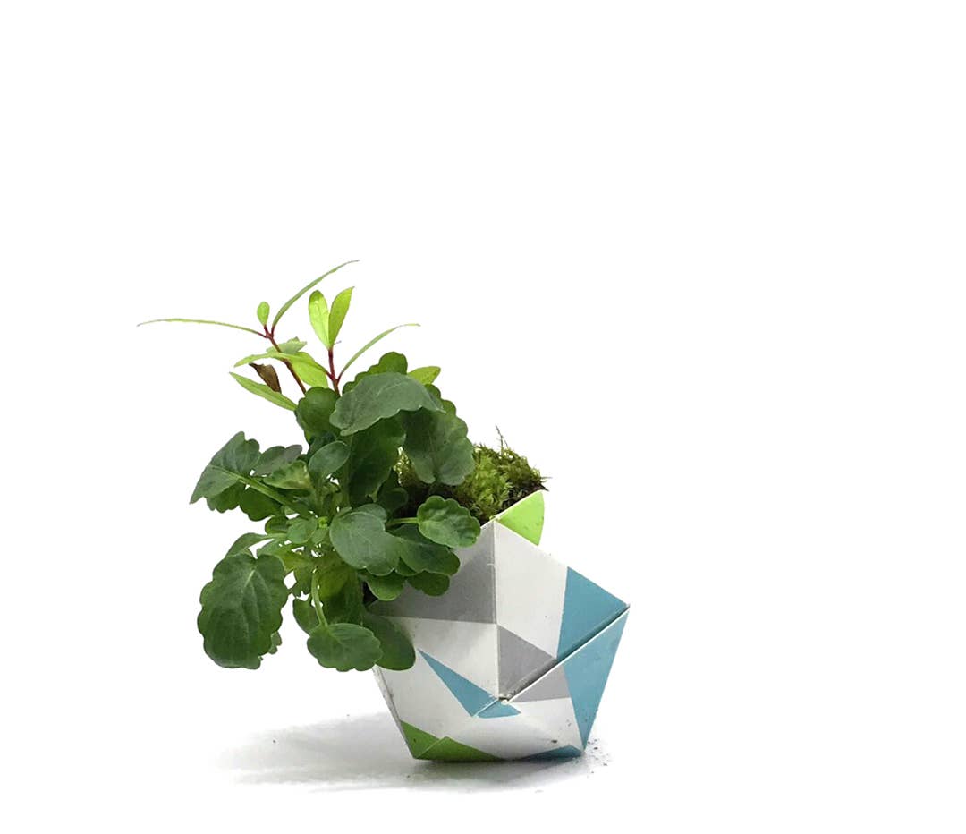 OriBon - Wholesale DIY Craft Kit - 3 OriBon - Modern collection6