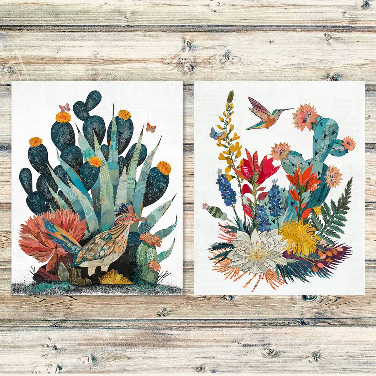 Dolan Geiman - Wholesale Art Print - Art Print | Cactus Wall Art| BAJA BACKCOUNTRY (ROADRUNNER)2